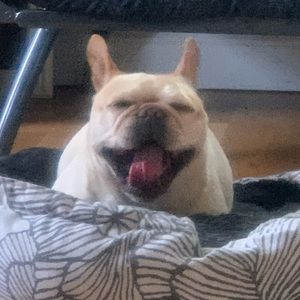 Meet your Posher, Doris